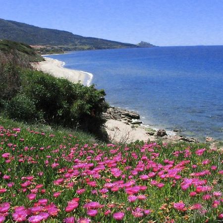 Residenza Sul Mare Aparthotel Valledoria  Εξωτερικό φωτογραφία