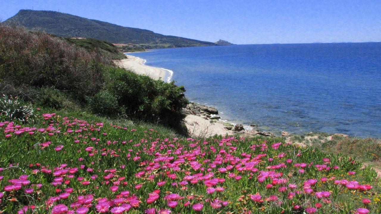 Residenza Sul Mare Aparthotel Valledoria  Εξωτερικό φωτογραφία